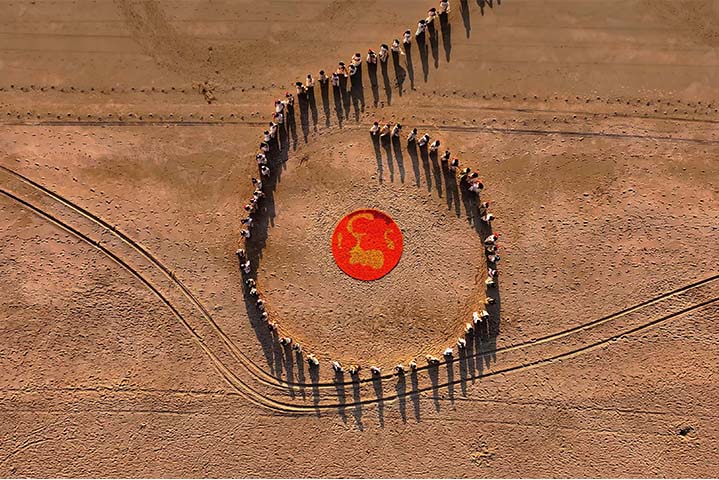 Marigold Circle 01