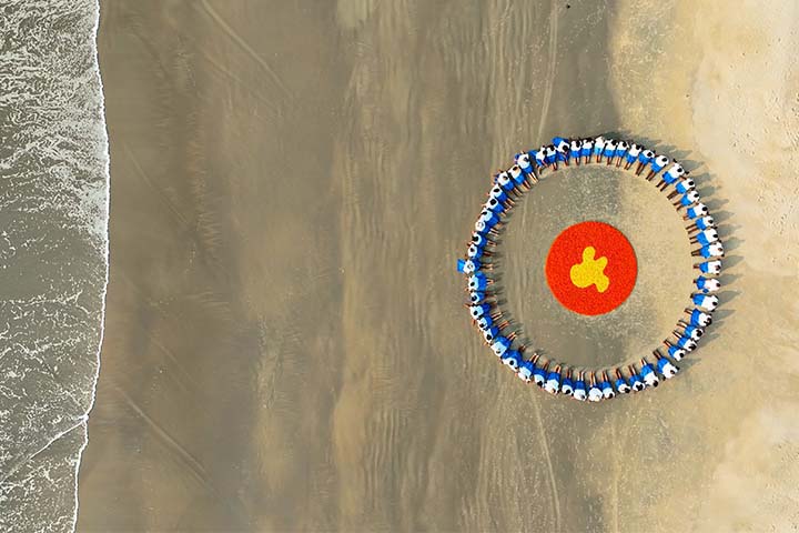 Marigold Circle 02