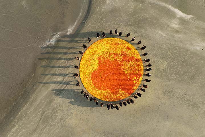 Marigold circle 06