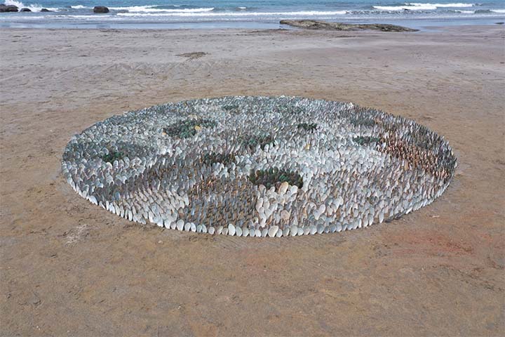Mussel shells circle