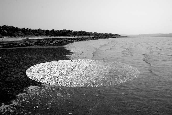 The moon and the tides 02