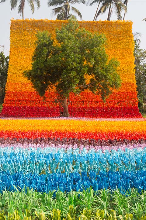 Carpet of Joy 02