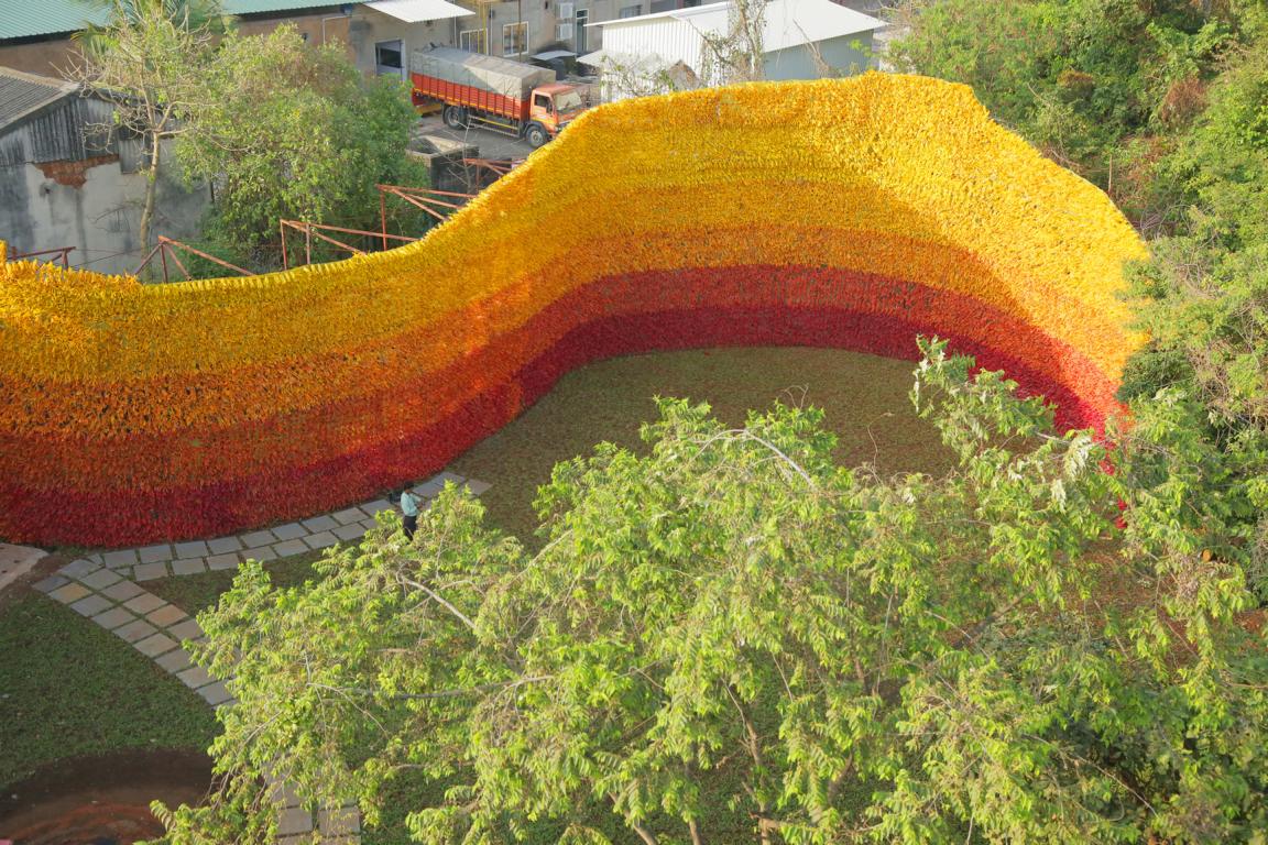 Carpet of Joy 02