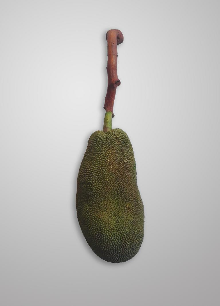 Jackfruits