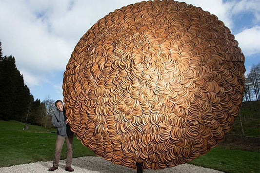 Pineapple disc