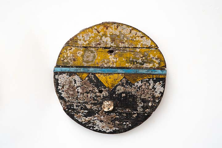 Oyster Shell Disc
