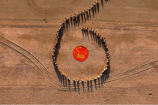 Marigold Circle 01