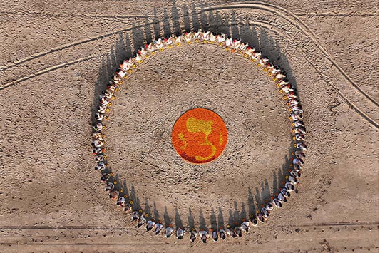 Marigold Circle 04