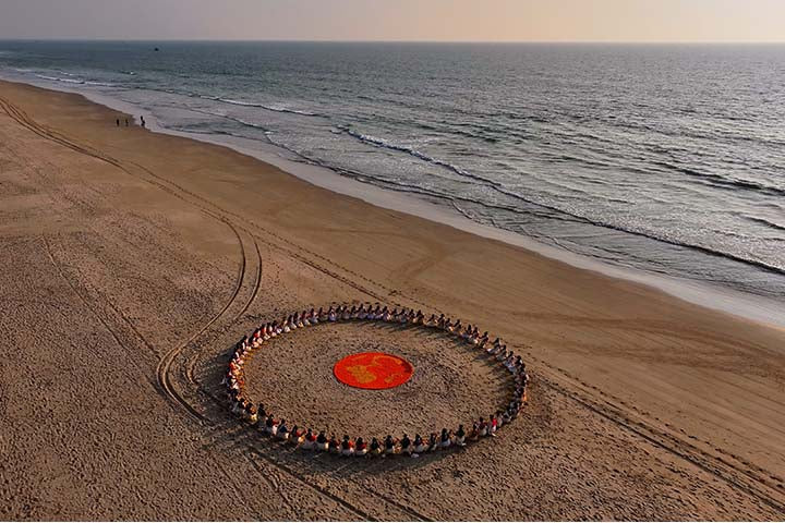 Marigold Circle 05