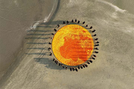 Marigold circle 06