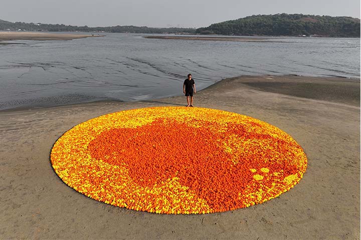 Marigold Circle 07