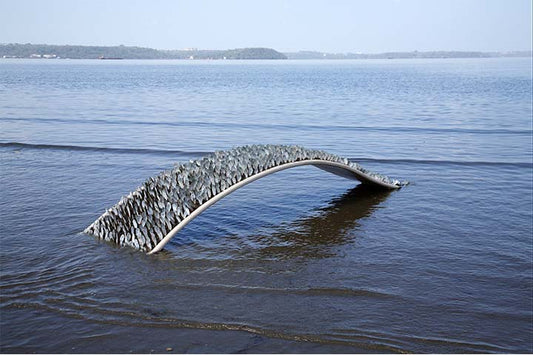 Mussel shells wave