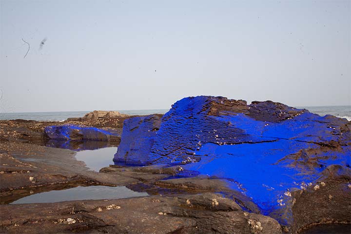 Indigo 03