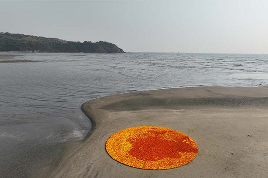 Marigold circle 01