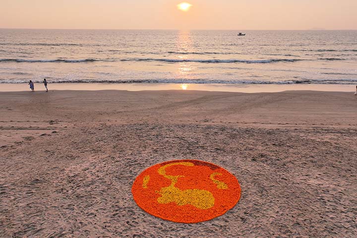 Marigold circle 03