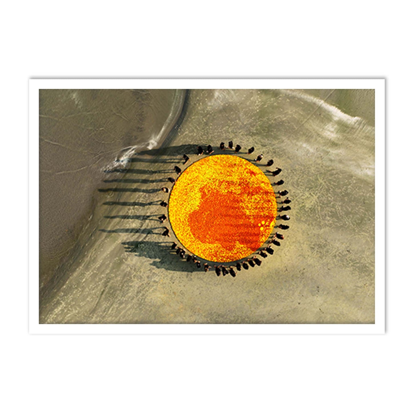 Marigold circle 1