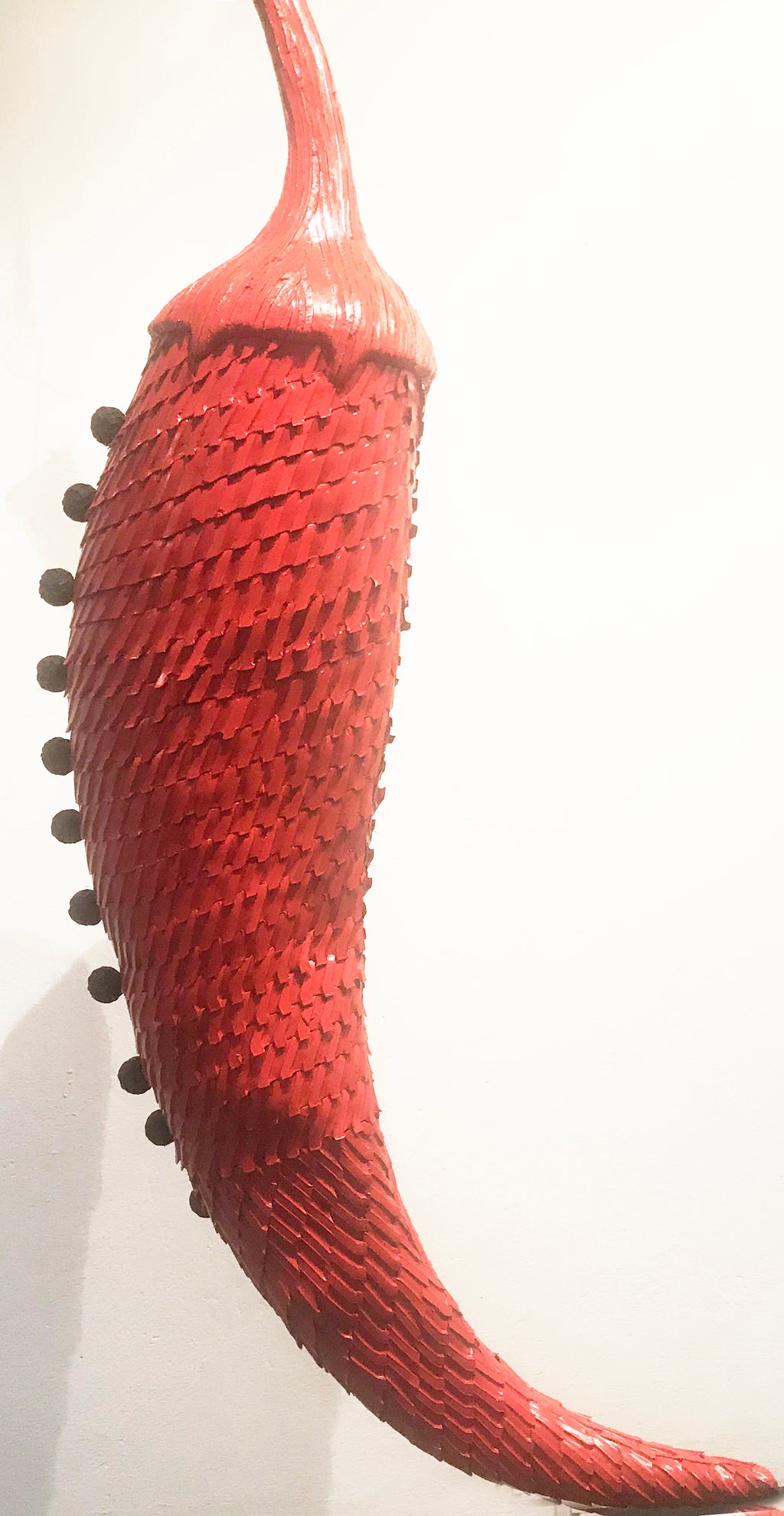 Chilli 01