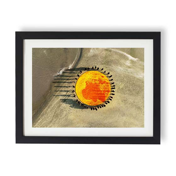 Marigold circle 1