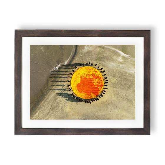 Marigold circle 1