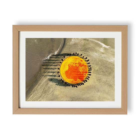 Marigold circle 1