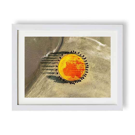 Marigold circle 1
