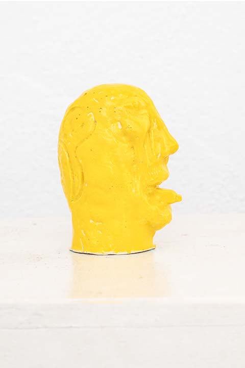 Head 7