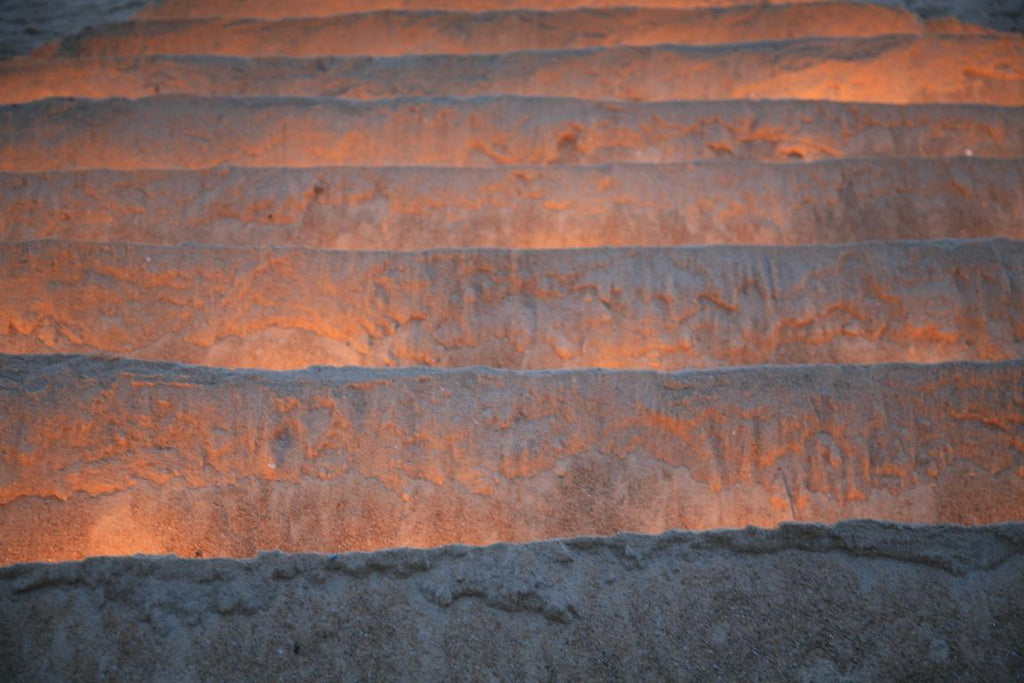 Memories of Sunset on the Sand