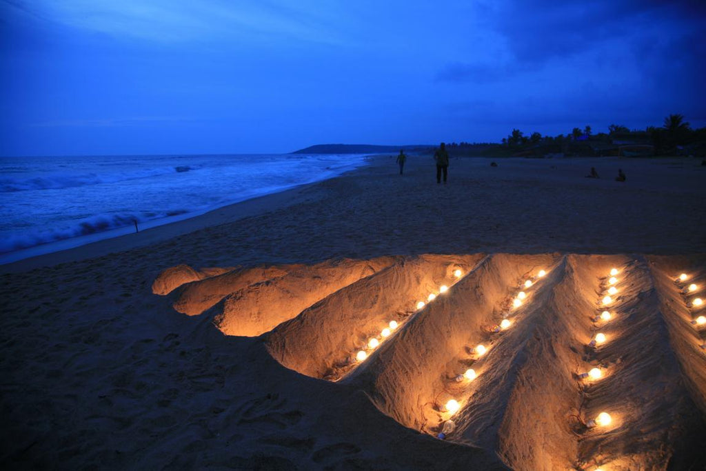 Memories of Sunset on the Sand