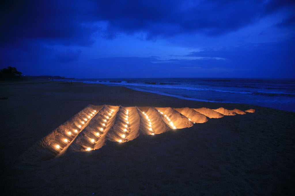 Memories of Sunset on the Sand