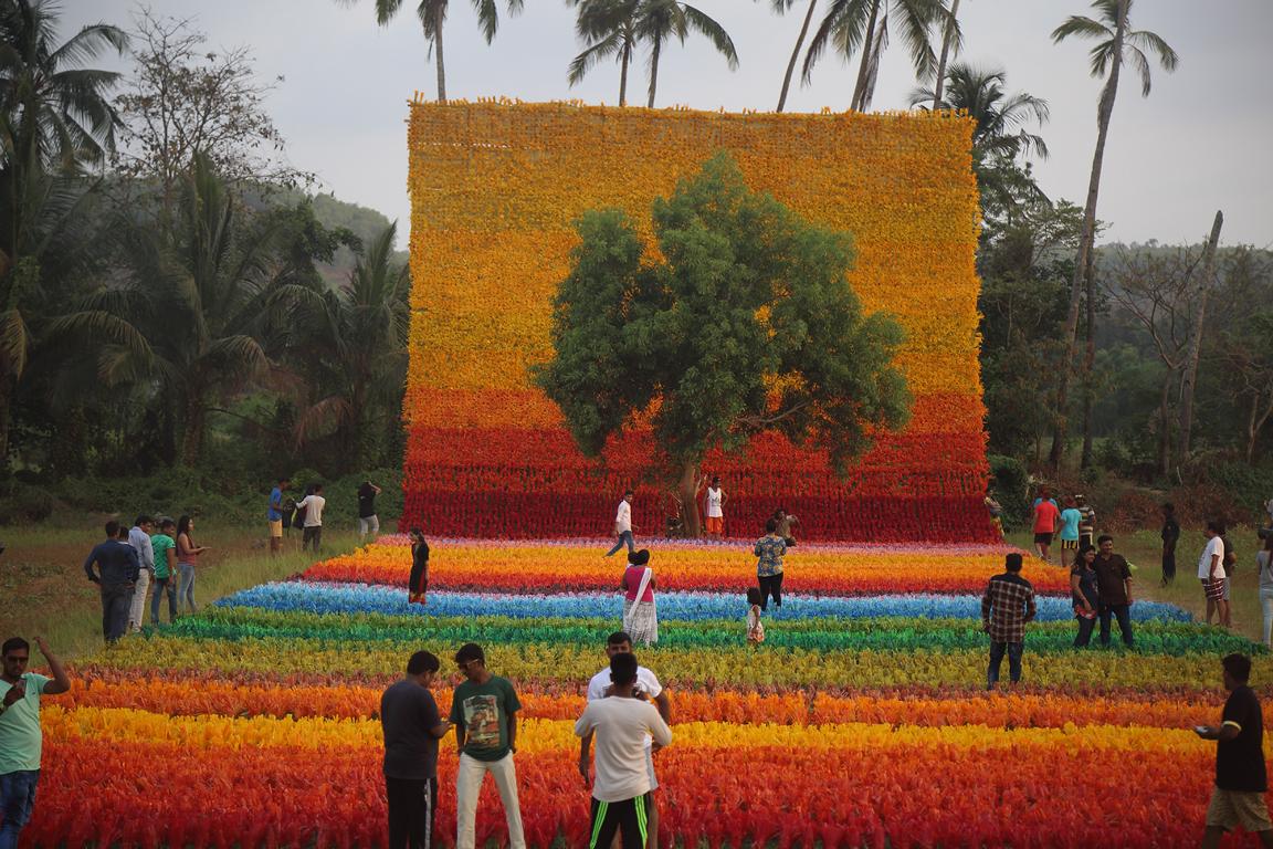 Carpet of Joy 01
