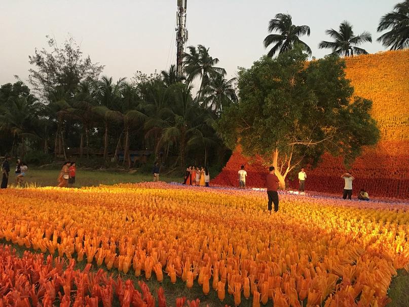 Carpet of Joy 01