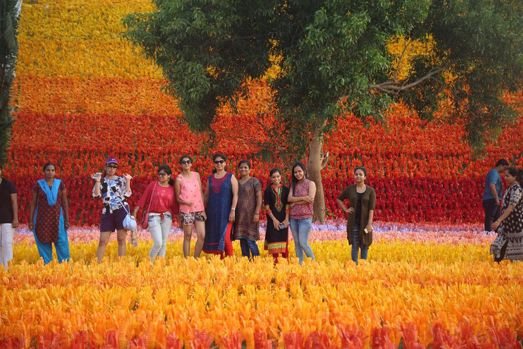 Carpet of Joy 01