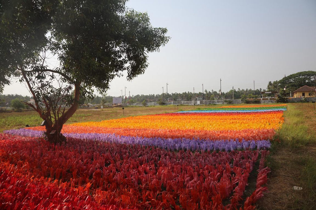 Carpet of Joy 01