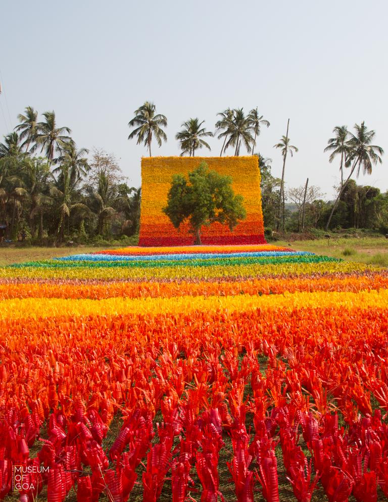Carpet of Joy 01