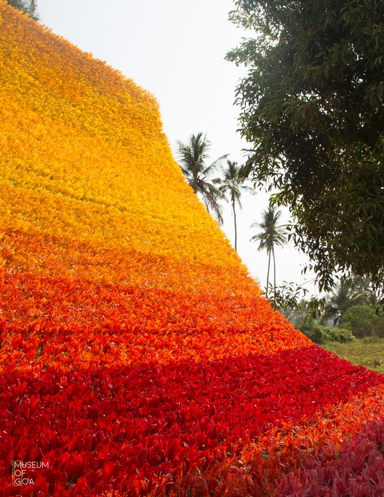 Carpet of Joy 01