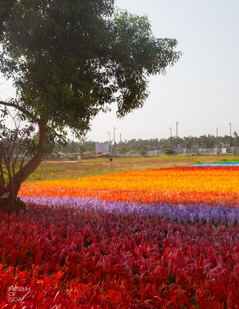 Carpet of Joy 01
