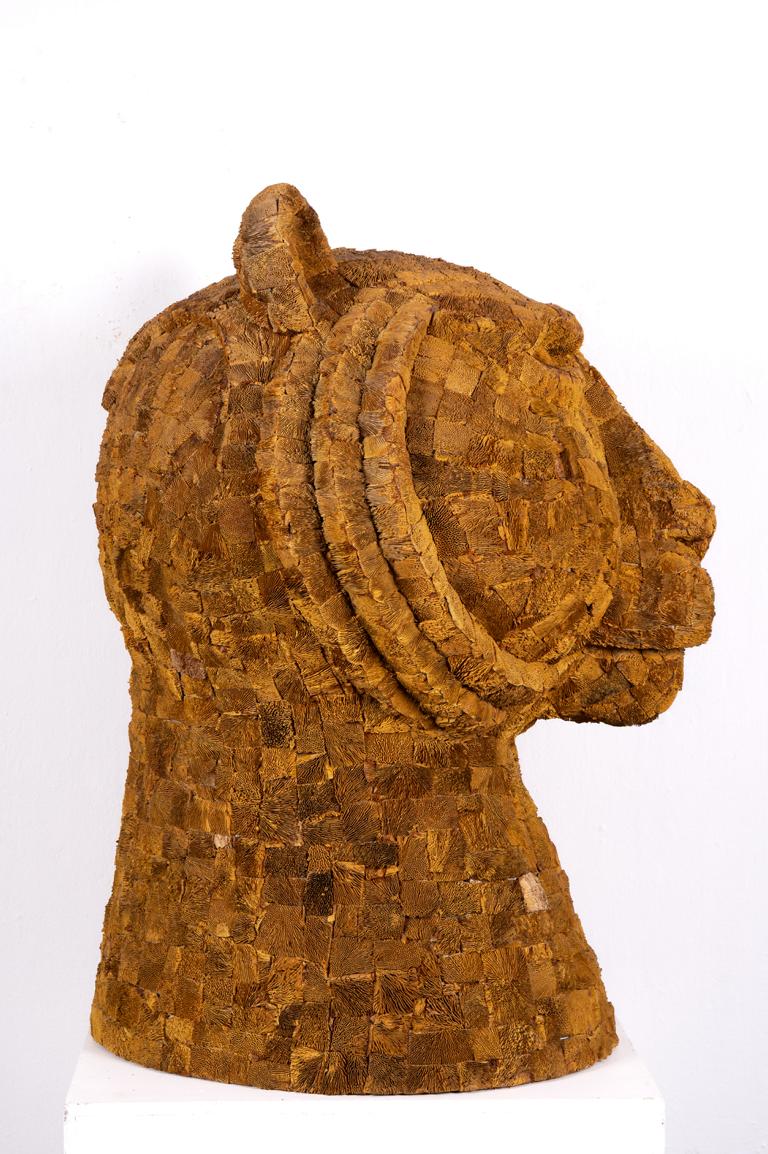 Tiger 01