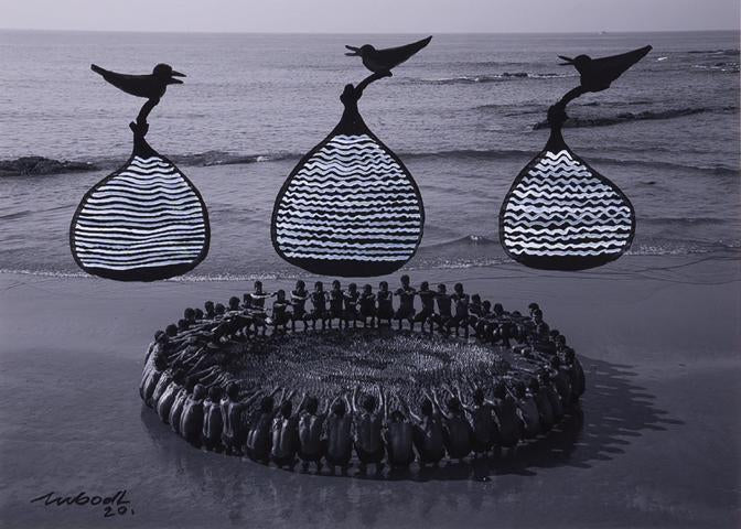 Birds with fish nets