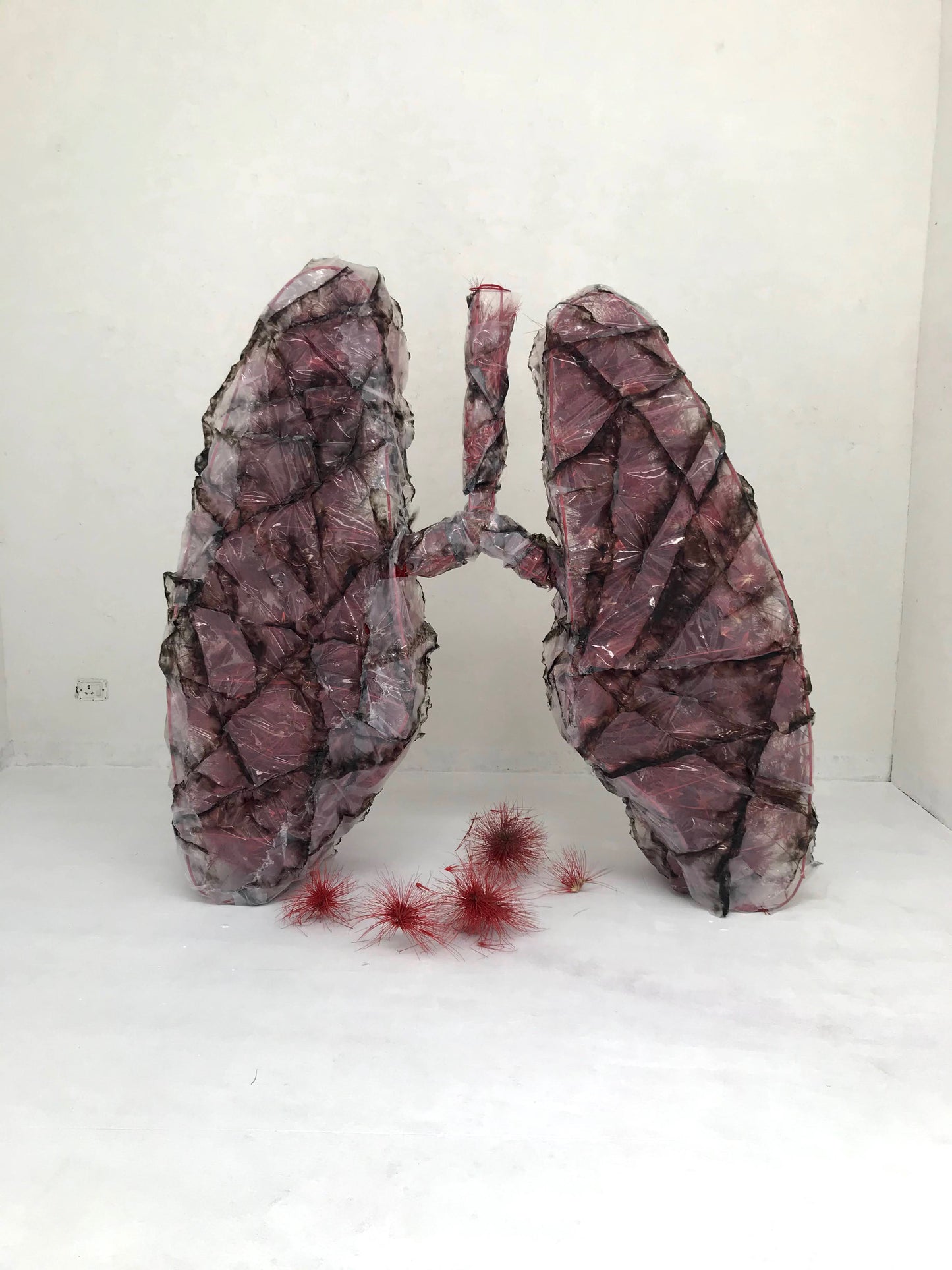 Covid Lungs