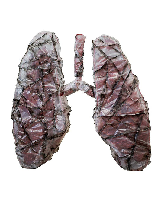Covid Lungs