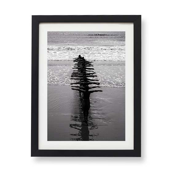 Fishermen and the Fish