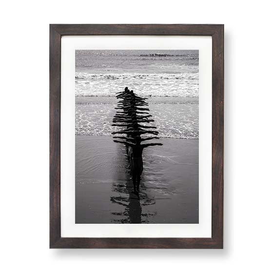 Fishermen and the Fish