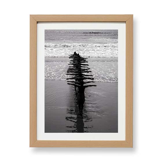 Fishermen and the Fish