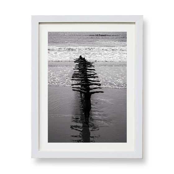 Fishermen and the Fish